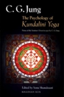 Image for The psychology of Kundalini yoga: notes of the seminar given in 1932 by C.G. Jung