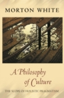Image for A philosophy of culture: the scope of holistic pragmatism