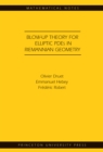 Image for Blow-up theory for elliptic PDEs in Riemannian geometry : 45