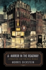 Image for The mirror in the roadway: literature and the real world