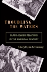 Image for Troubling the waters: Black-Jewish relations in the American century