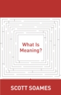 Image for What is meaning?