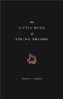 Image for The little book of string theory