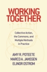 Image for Working together: collective action, the commons, and multiple methods in practice