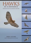 Image for Hawks at a distance: identification of migrant raptors