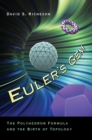 Image for Euler&#39;s gem: the polyhedron formula and the birth of topology