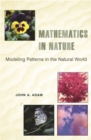 Image for Mathematics in nature: modeling patterns in the natural world