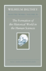 Image for The formation of the historical world in the human sciences