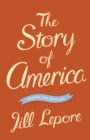 Image for The story of America: essays on origins