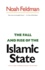 Image for The fall and rise of the Islamic state