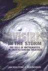 Image for Invisible in the storm: the role of mathematics in understanding weather