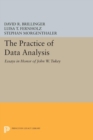 Image for The Practice of Data Analysis: Essays in Honor of John W. Tukey