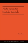 Image for Multi-parameter singular integrals