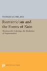 Image for Romanticism and the forms of ruin: Wordsworth, Coleridge, and modalities of fragmentation
