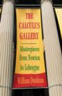 Image for Calculus Gallery: Masterpieces from Newton to Lebesgue