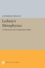 Image for Leibniz&#39;s Metaphysics: A Historical and Comparative Study