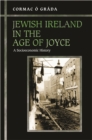 Image for Jewish Ireland in the Age of Joyce: A Socioeconomic History