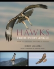 Image for Hawks from Every Angle: How to Identify Raptors In Flight
