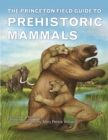 Image for Princeton Field Guide to Prehistoric Mammals