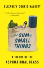 Image for Sum of Small Things: A Theory of the Aspirational Class
