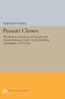Image for Peasant Classes: The Bureaucratization of Property and Family Relations Under Early Habsburg Absolutism, 1511-1636