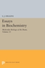 Image for Essays in Biochemistry, Volume 33: Molecular Biology of the Brain