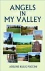 Image for Angels in My Valley