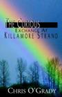 Image for The Curious Exchange at Killamore Strand