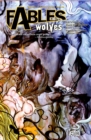 Image for Fables Vol. 8: Wolves