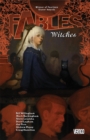 Image for Fables Vol. 14 : Witches