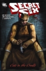 Image for Secret Six : Cats in the Cradle