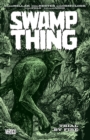 Image for Swamp Thing Vol. 3 Trial By Fire