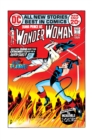 Image for Wonder Woman: Diana Prince