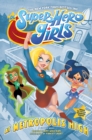 Image for DC Super Hero Girls: At Metropolis High