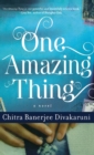 Image for One Amazing Thing