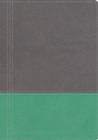 Image for NKJV, The Modern Life Study Bible, Leathersoft, Gray/Green, Indexed