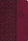 Image for KJV Study Bible, Leathersoft, Red/Pink, Thumb Indexed, Red Letter : Second Edition