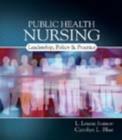 Image for Public Health Nursing : Policy, Politics and Practice