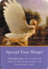 Image for Spread Your Wings Magnet