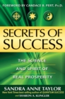 Image for Secrets of success: the science and spirit of real prosperity