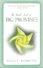 Image for Little Book of Big Promises