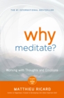 Image for Why meditate?