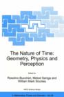 Image for The nature of time  : geometry, physics and perception
