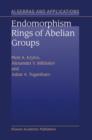 Image for Endomorphism Rings of Abelian Groups