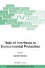 Image for Role of Interfaces in Environmental Protection