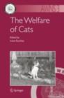 Image for The welfare of cats