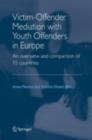 Image for Victim-Offender Mediation with Youth Offenders in Europe: An overview and comparison of 15 countries