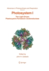 Image for Photosystem I : The Light-Driven Plastocyanin: Ferredoxin Oxidoreductase
