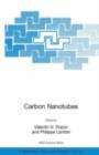 Image for Carbon nanotubes: from basic research to nanotechnology