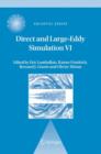 Image for Direct and Large-Eddy Simulation VI